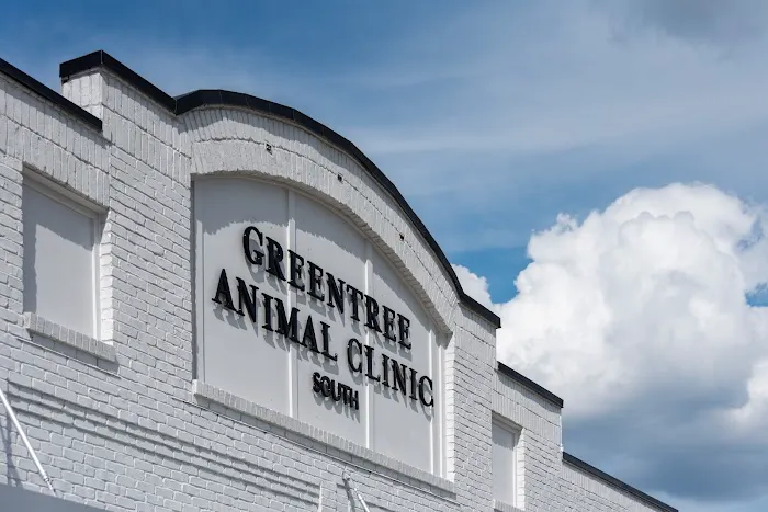 Greentree Animal Clinic South Picture 6