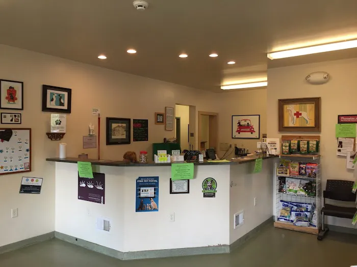 Greentree Animal Clinic Picture 10