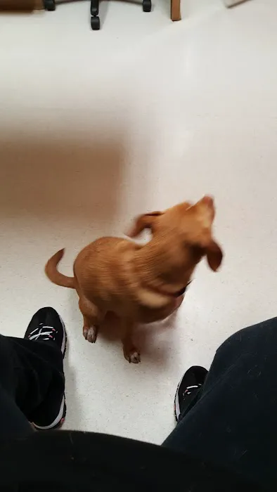 Slippery Rock Veterinary Hospital Picture 10