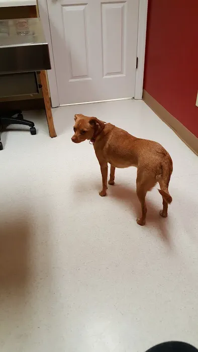 Slippery Rock Veterinary Hospital Picture 7