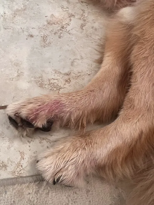 Gardens Veterinary Hospital Picture 2