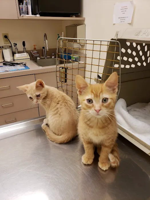 Gardens Veterinary Hospital Picture 8