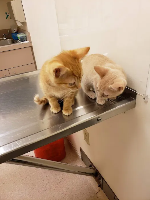 Gardens Veterinary Hospital Picture 9