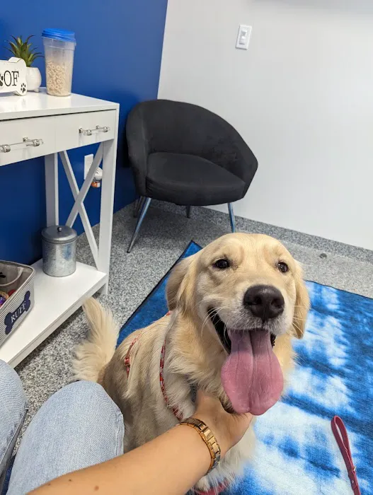 PetVet365 Pet Hospital Pittsburgh/Cranberry Picture 2