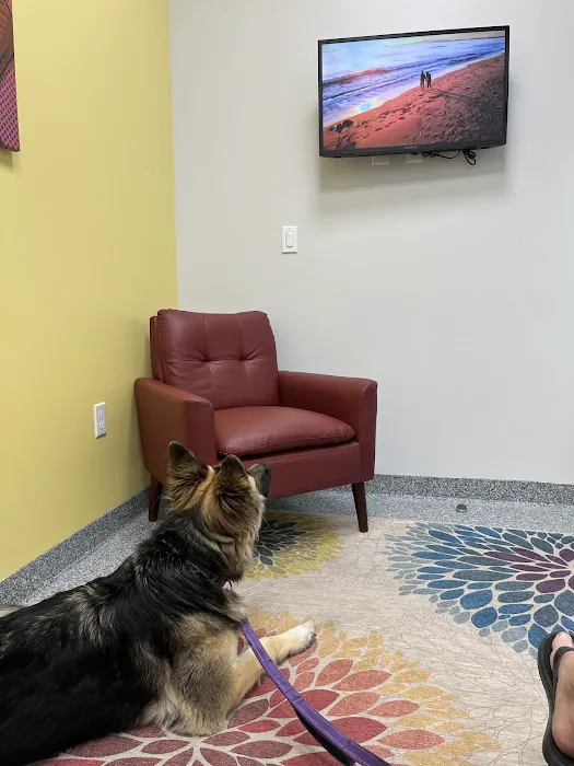 PetVet365 Pet Hospital Pittsburgh/Cranberry Picture 1