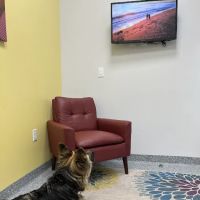 PetVet365 Pet Hospital Pittsburgh/Cranberry ico