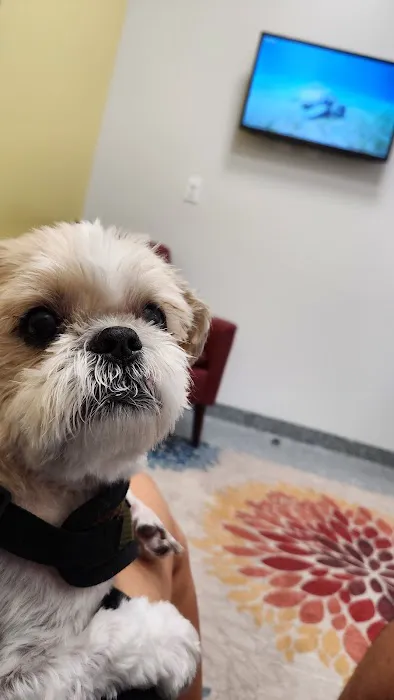 PetVet365 Pet Hospital Pittsburgh/Cranberry Picture 8