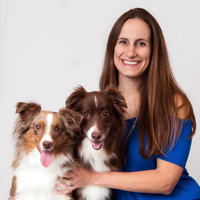 Pittsburgh Veterinary Dermatology Picture 10