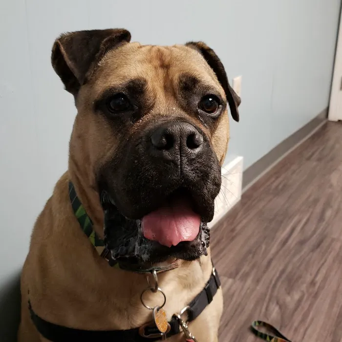 Avalon Veterinary Hospital Picture 3