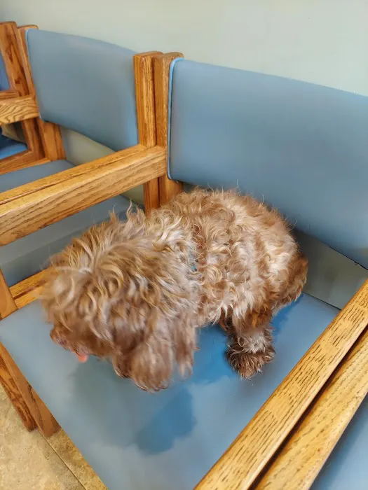 Avalon Veterinary Hospital Picture 8