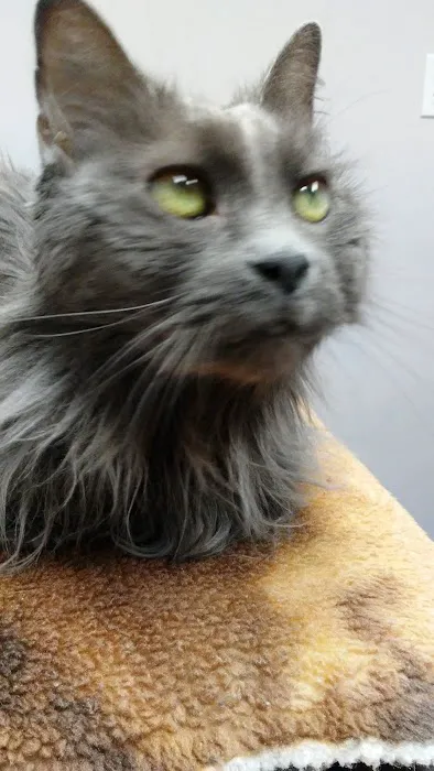 Avalon Veterinary Hospital Picture 9