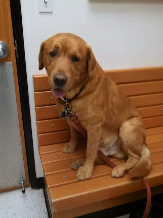 Banfield Pet Hospital Picture 5