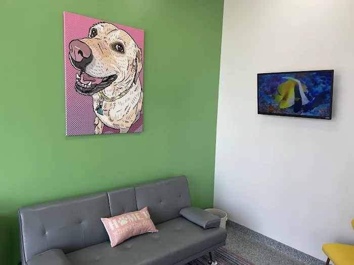 PetVet365 Pet Hospital Pittsburgh/Ross Park Picture 2
