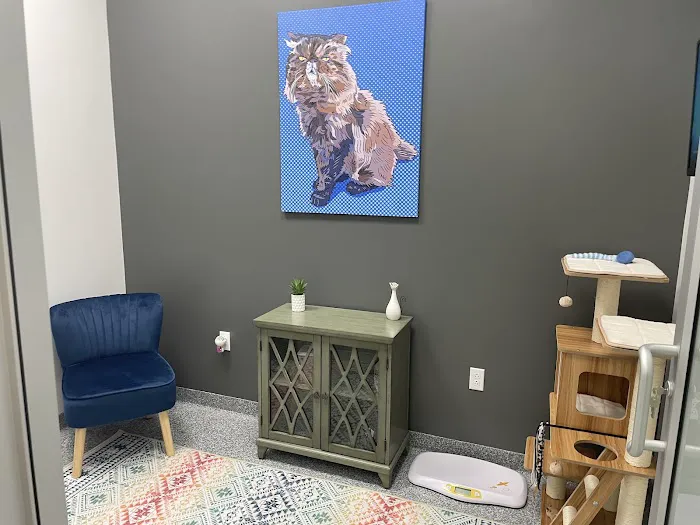 PetVet365 Pet Hospital Pittsburgh/Ross Park Picture 6