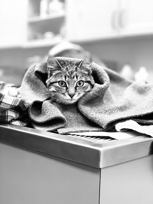 Cranberry Veterinary Hospital Picture 2