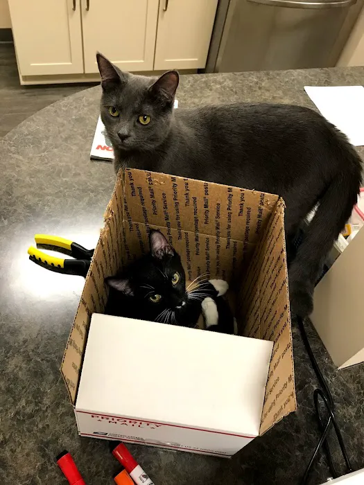 Cranberry Veterinary Hospital Picture 4