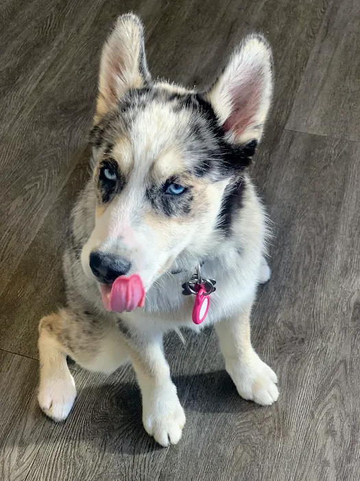 Cranberry Veterinary Hospital Picture 6