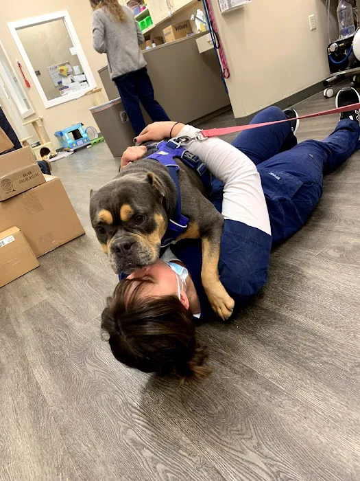 Cranberry Veterinary Hospital Picture 10