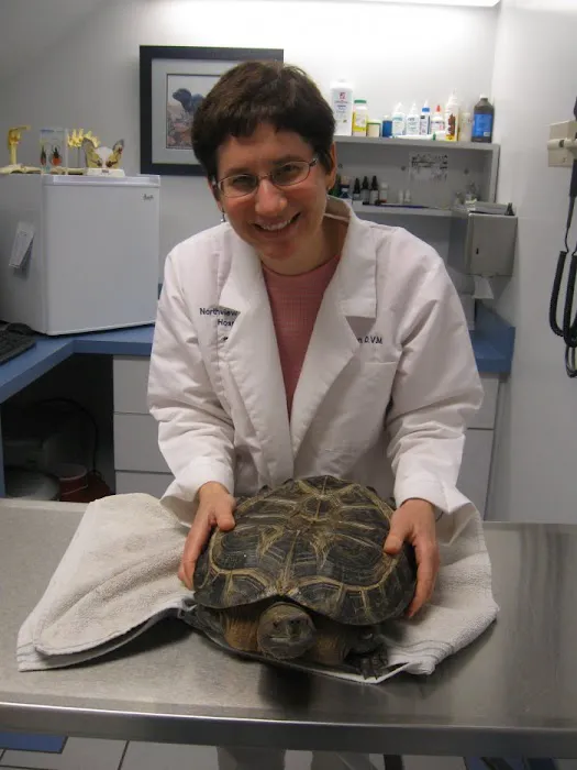 VCA Northview Animal Hospital Specialty Referral Center Picture 5
