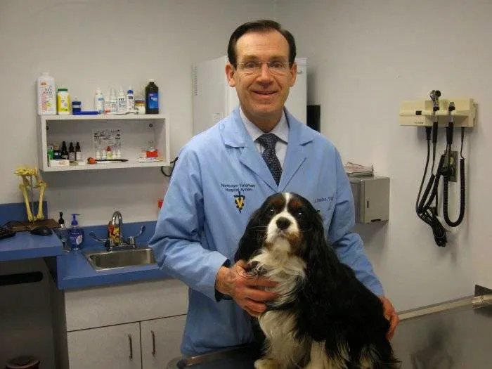 VCA Northview Animal Hospital Specialty Referral Center Picture 4