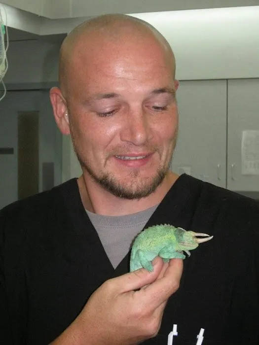 VCA Northview Animal Hospital Specialty Referral Center Picture 8
