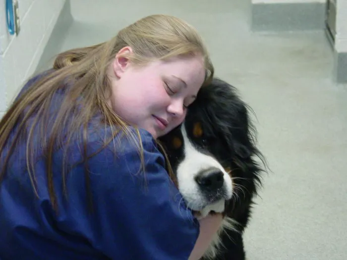 VCA Northview Animal Hospital Specialty Referral Center Picture 7
