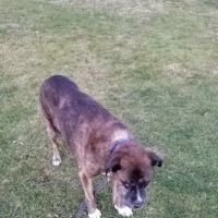 Franklin Park Veterinary Hospital ico