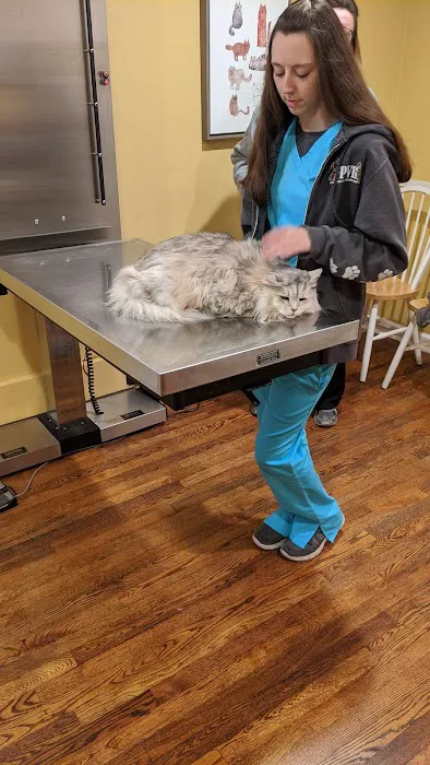 Franklin Park Veterinary Hospital Picture 3