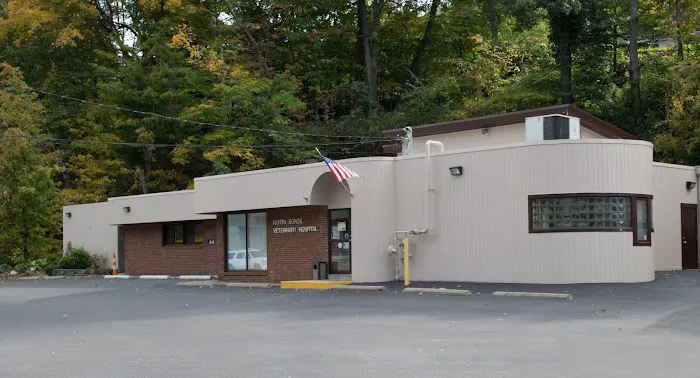 North Boros Veterinary Hospital Picture 1