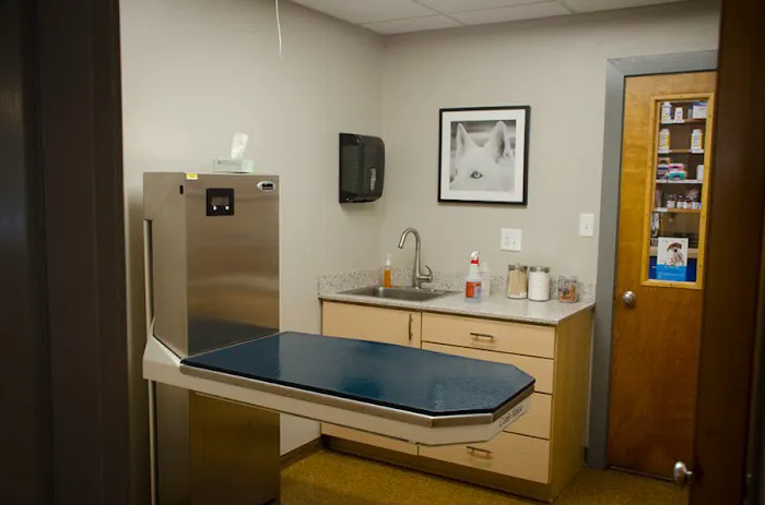 North Boros Veterinary Hospital Picture 4