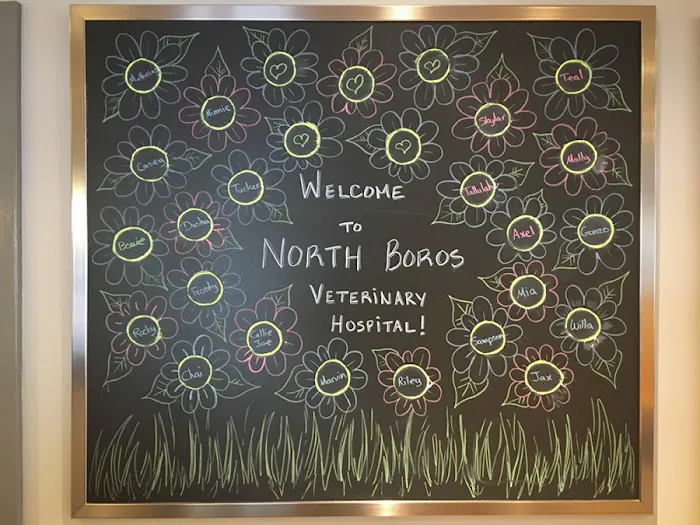 North Boros Veterinary Hospital Picture 5