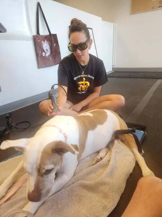 Steel City Canine Rehabilitation & Sports Medicine Picture 10
