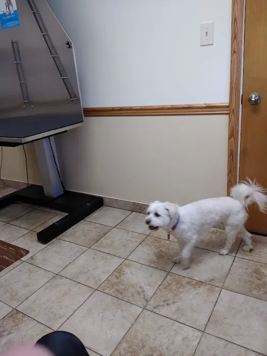 Allegheny North Veterinary Hospital Picture 7