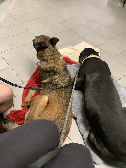 Veterinary Emergency Group Picture 4