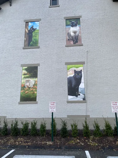 Cat Clinic and Hospital Picture 4