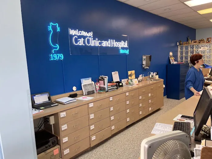 Cat Clinic and Hospital Picture 1