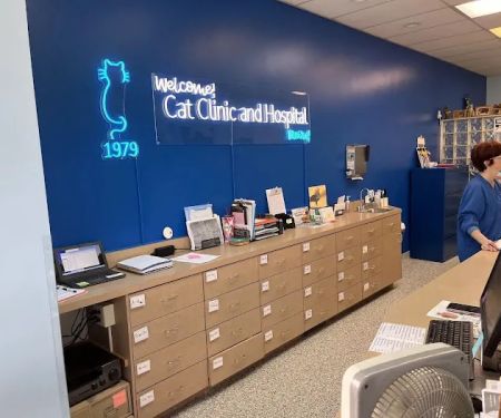 Cat Clinic and Hospital