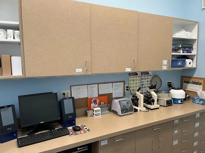 Cat Clinic and Hospital Picture 8