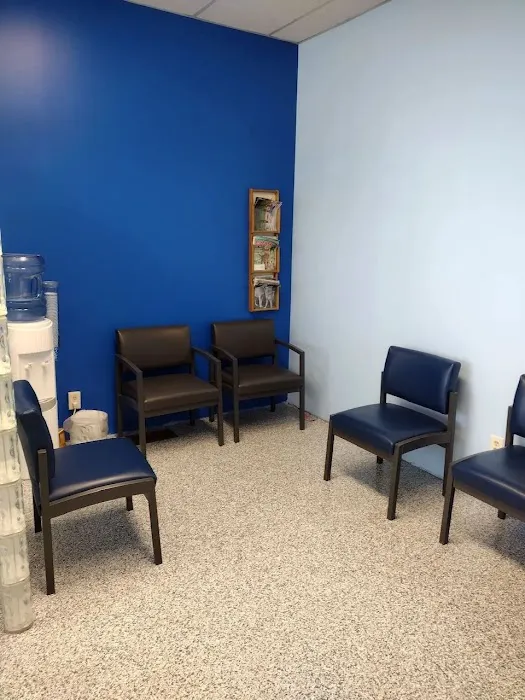 Cat Clinic and Hospital Picture 10