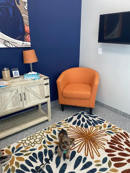 PetVet365 Pet Hospital Pittsburgh/Shadyside at the Junction Picture 2