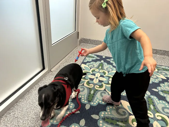 PetVet365 Pet Hospital Pittsburgh/Shadyside at the Junction Picture 8