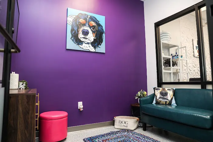 PetVet365 Pet Hospital Pittsburgh / The Terminal Picture 6