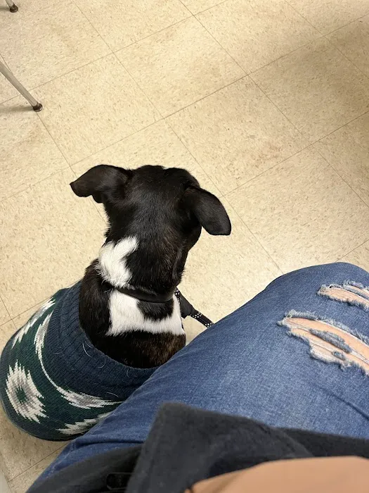 Allegheny Spay & Neuter Clinic Picture 6