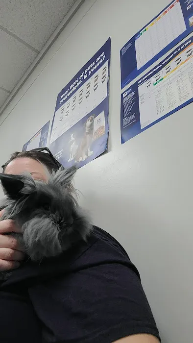Northside Animal Hospital Picture 4