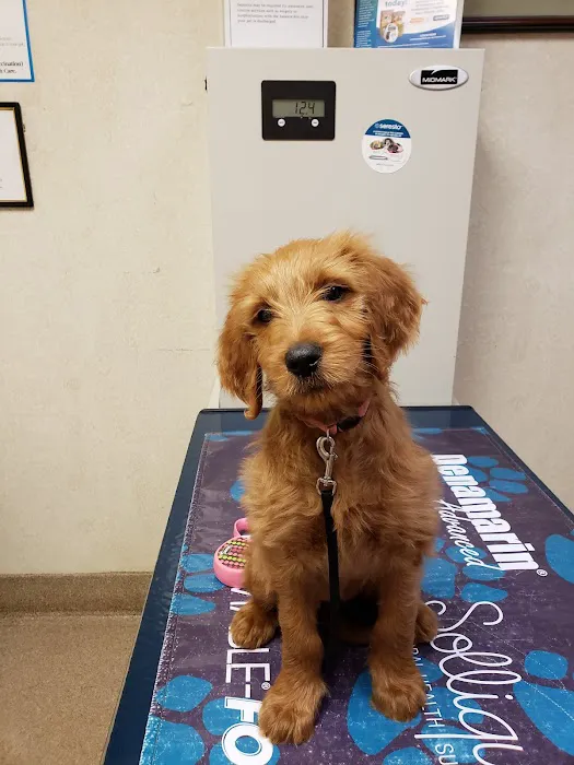 Audubon Animal Clinic Picture 2