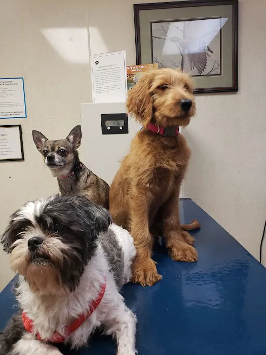 Audubon Animal Clinic Picture 7