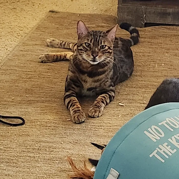 Audubon Animal Clinic Picture 6