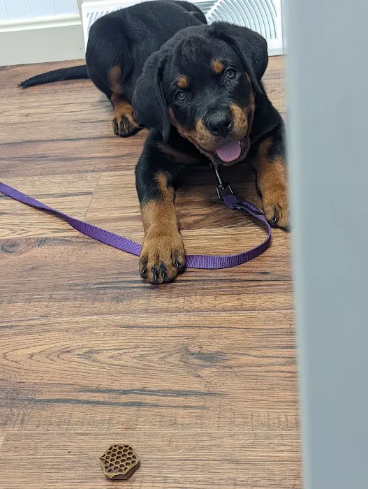 Moore Veterinary Services Picture 5