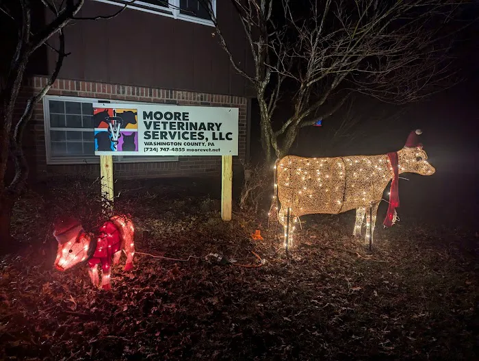 Moore Veterinary Services Picture 4