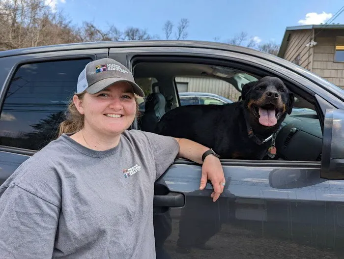 Moore Veterinary Services Picture 10